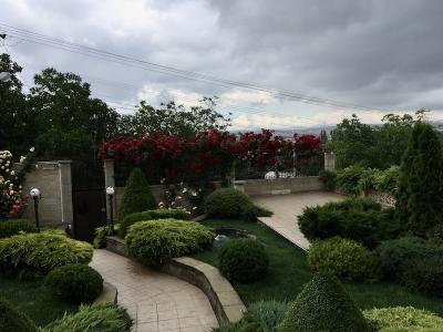 Прикрепленное изображение: IMG_9231.jpeg